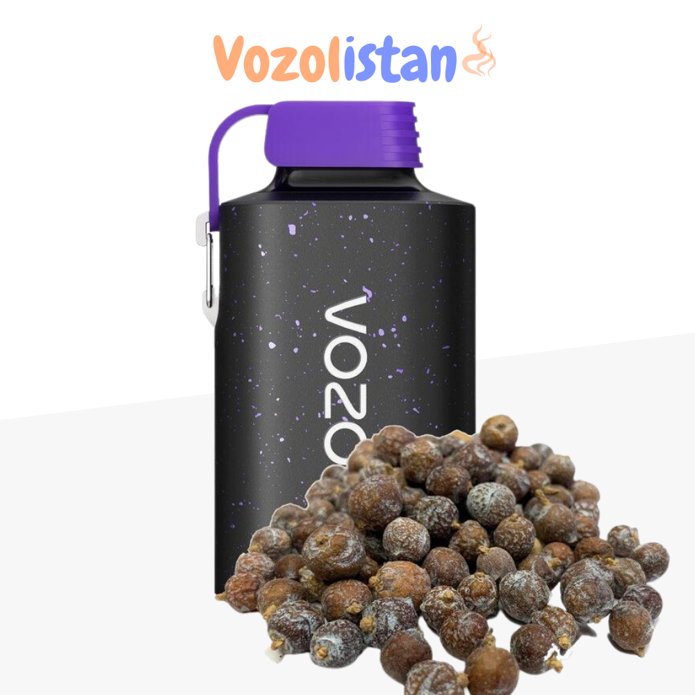 Vozol Gear 10000 Cedar Berries Puff vozolistan.net