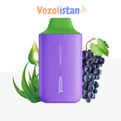 Vozol Star 6000 Aloe Grape Puff vozolistan.net