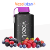 Vozol Gear 10000 Forest Berry Storm Puff vozolistan.net